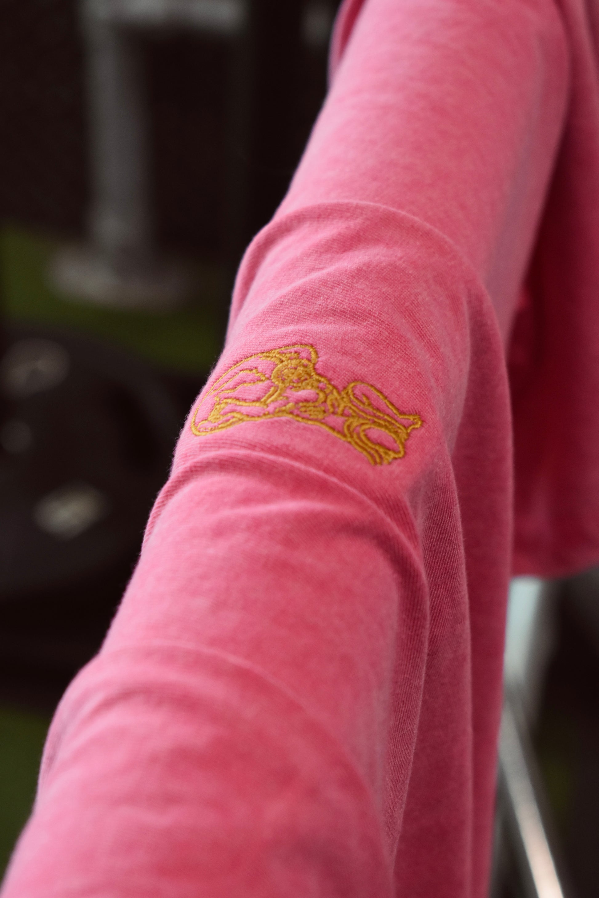 Pink/Blue Oversized T Shirt with Embroidered Logo