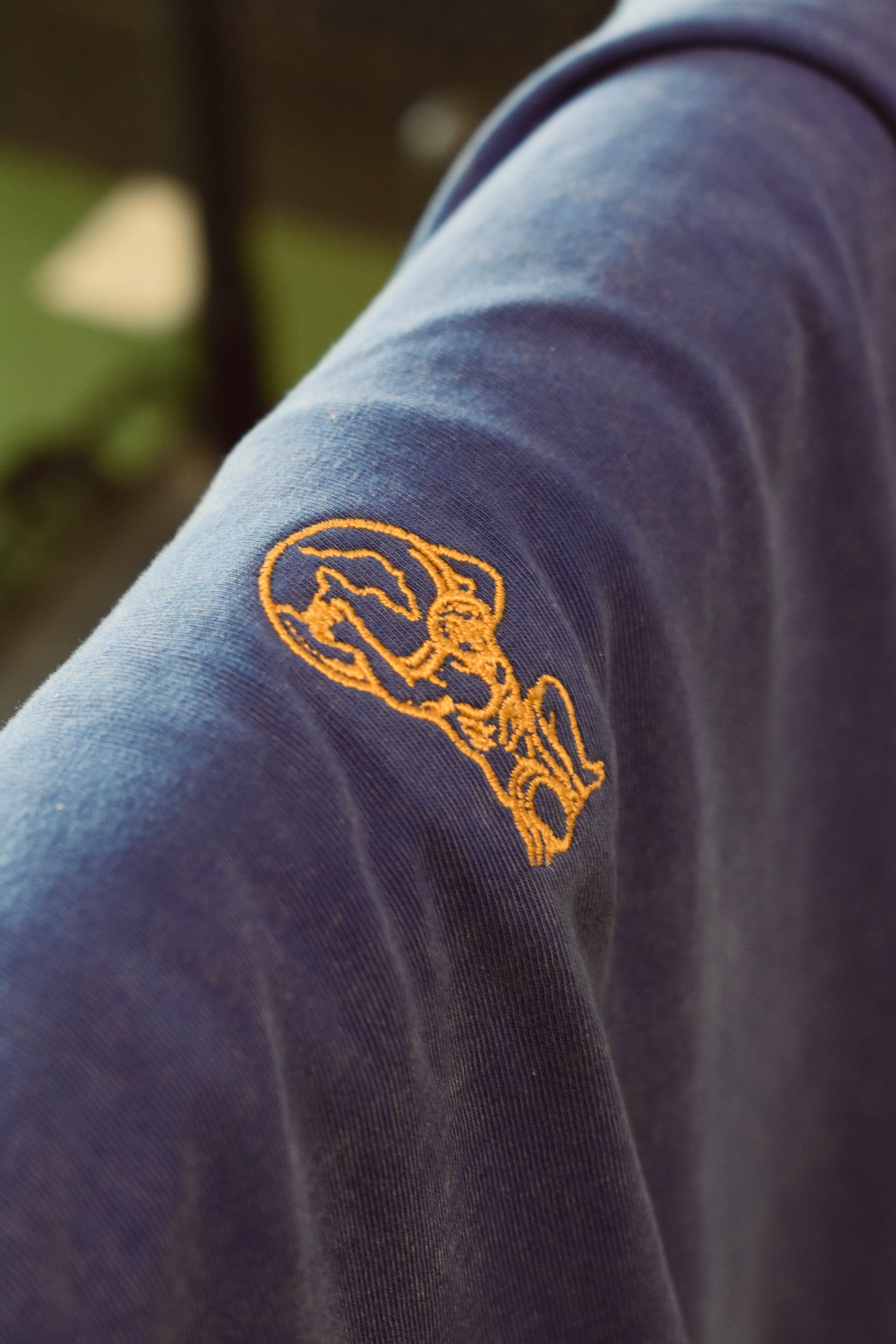 Pink/Blue Oversized T Shirt with Embroidered Logo