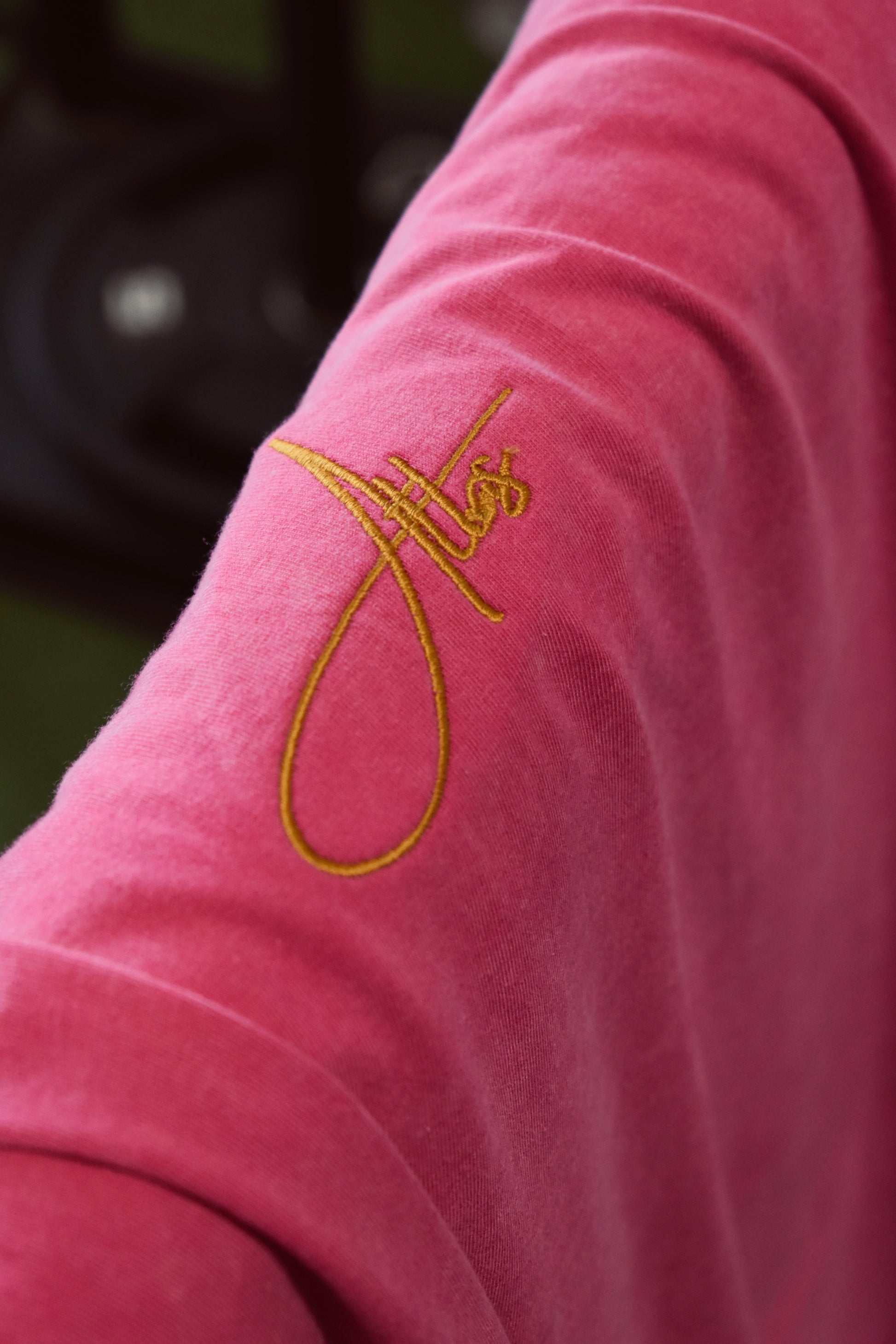 Pink/Blue Oversized T Shirt with Embroidered Script