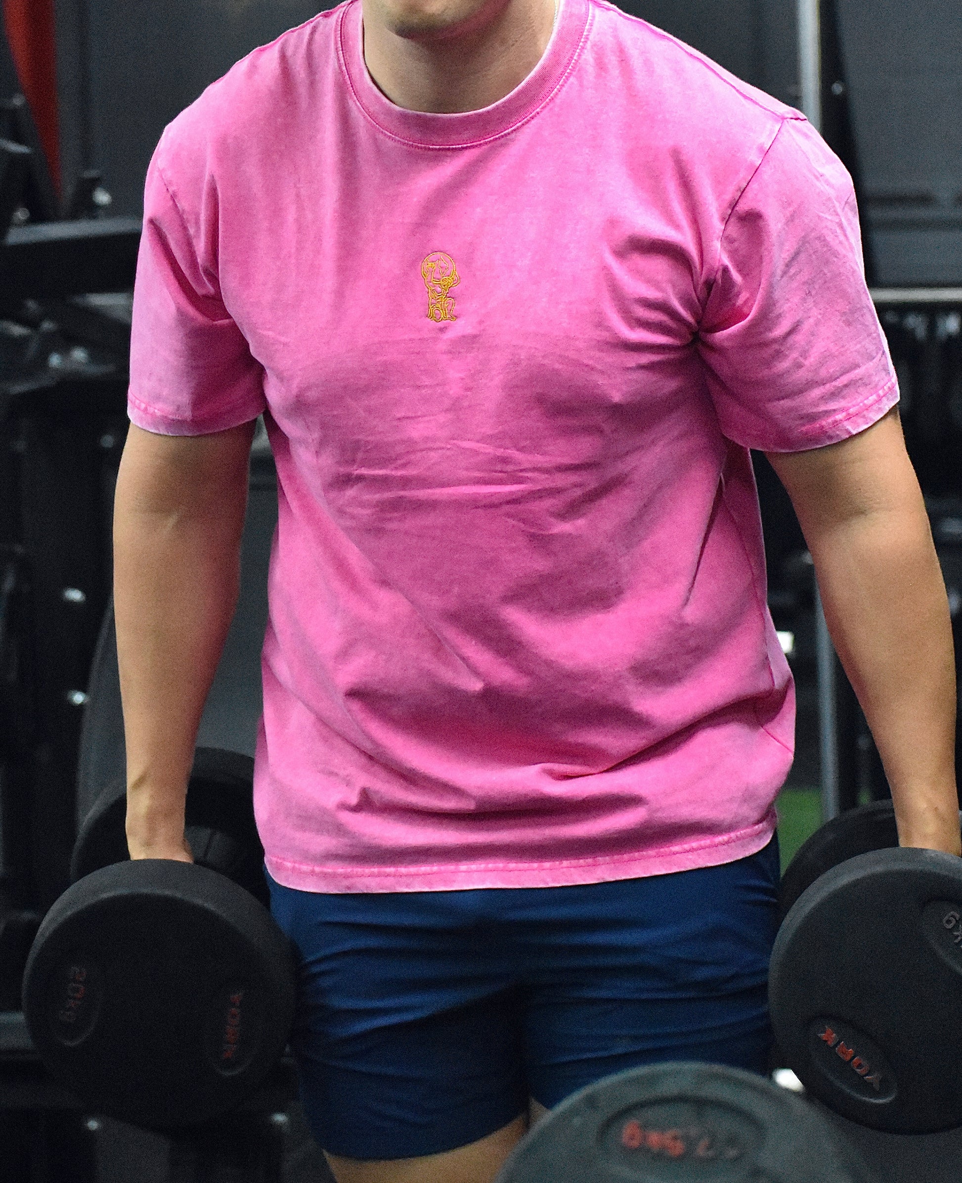 Pink/Blue Oversized T Shirt with Embroidered Logo