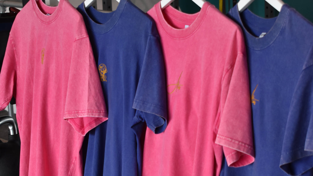 Pink/Blue Oversized T Shirt with Embroidered Script
