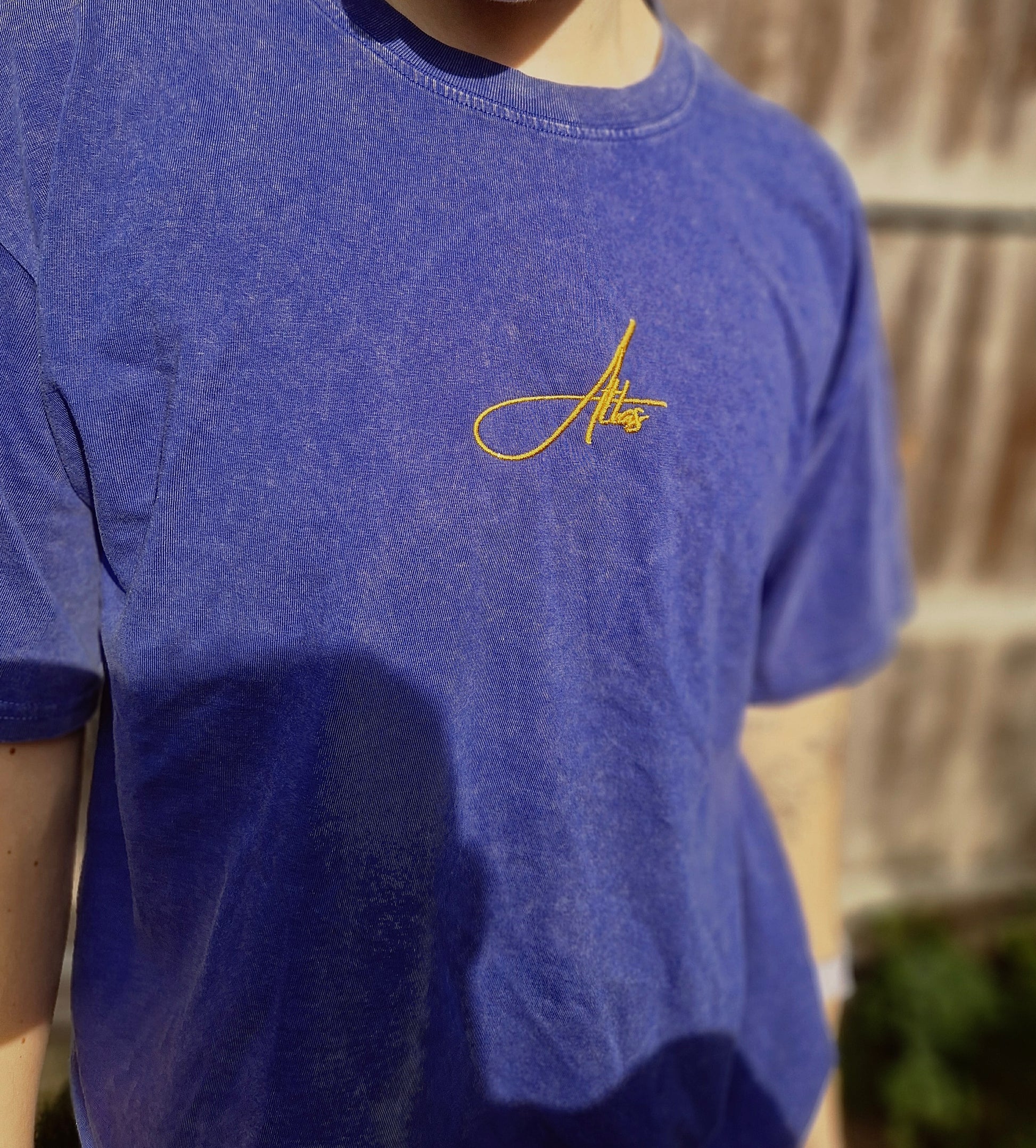 Pink/Blue Oversized T Shirt with Embroidered Script